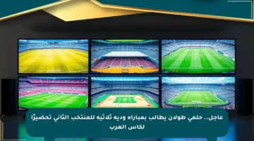 عاجل.. حلمي طولان يطالب بمباراة ودية ثلاثية للمنتخب الثاني تحضيرًا لكأس العرب